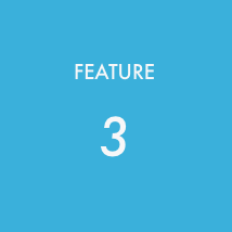 Feature 3